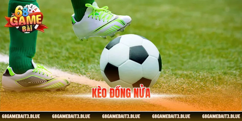 Kèo Đồng Nửa - Cách Đọc & 3 Bí Quyết Thắng Lớn Dễ Dàng